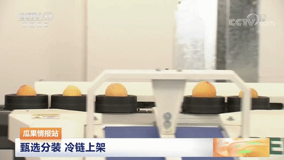 連線采訪＋現場直播7月20日CCTV農業農村頻道、央視頻APP深度報道湖北老河口黃桃產業發展情況綠萌作為果蔬智能科技分選企業憑借AI（人工智能）算法以及光譜技術為老河口黃桃產業賦能而亮相央視在此之前綠萌因為中國果蔬采后標準建設賦能已經多次亮相于央視黃桃作為老河口的“富農果”，身肩重任。全市3.5萬畝黃桃如何打造價格