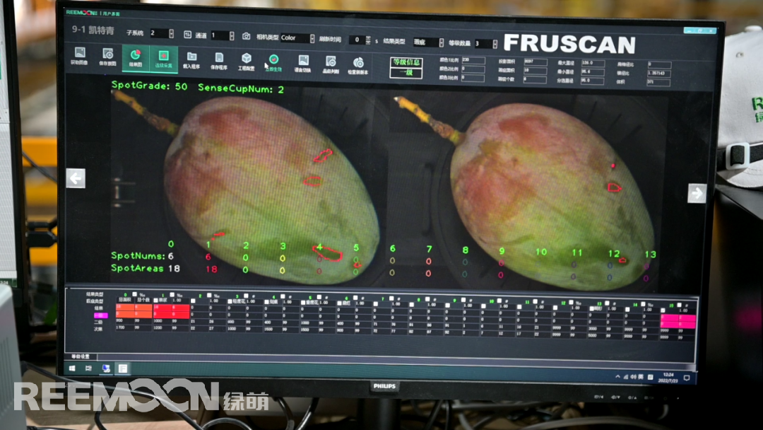 1663029863151088.png 芒果5.png