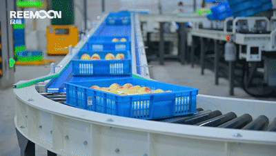 1663032063147049.gif 水蜜桃2.gif