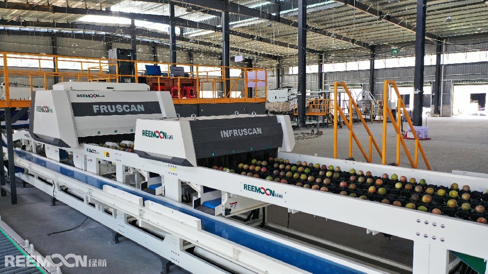 “搭上數字化分選快車 貴州百香果打開“優果優價”新局面