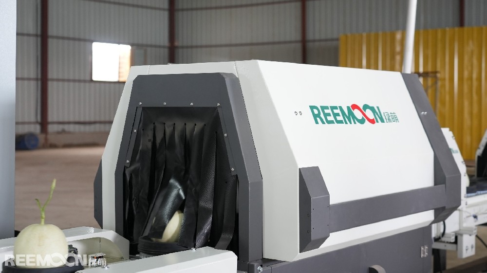 仲夏時節，花香四溢，瓜果飄香。這一場景不是在雨水充沛的南方或是土壤肥沃的東北，而是茫茫大戈壁之中，這里就是甘肅省玉門市玉瓏種植農民專業合作社的種植基地。每年超過24000噸的優質蜜瓜從這里種植生產出來，銷往北京、上海、杭州、廣州、長沙、武漢、南昌等全國20多個省區的核心城市。玉門市玉