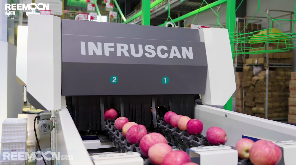 陜西洛川是中國蘋果主要產地之一，洛川縣海拔較高，光照充足，晝夜溫差大，雨熱同季，是符合蘋果最適宜生產區7項氣象指標要求的蘋果優生區，出產的洛川蘋果具有肉質細嫩致密、汁多松脆、酸甜適口等特征，“洛川蘋果”也被列入國家農產品地理標志登記保護。近年來，電商平臺發展迅速，短視頻直播逐漸成為水果銷售