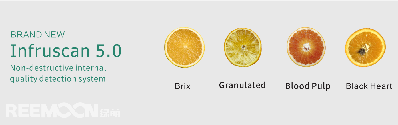 1695265713589945.jpg 1695265527986.jpg