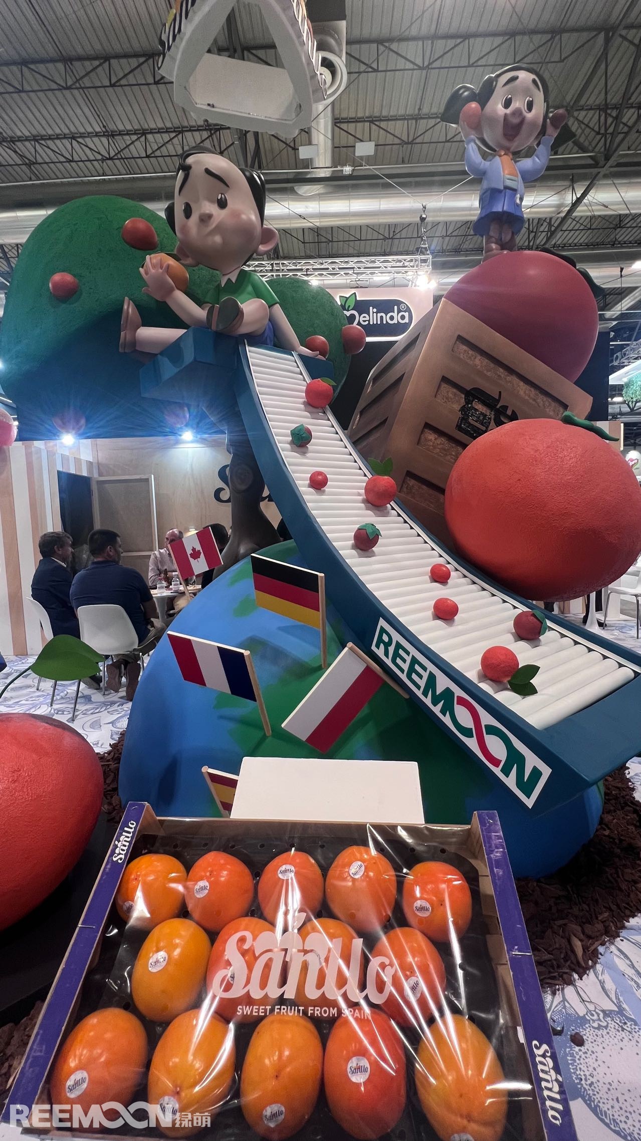 1696554222161440.jpg mmexport1696344749165.jpg