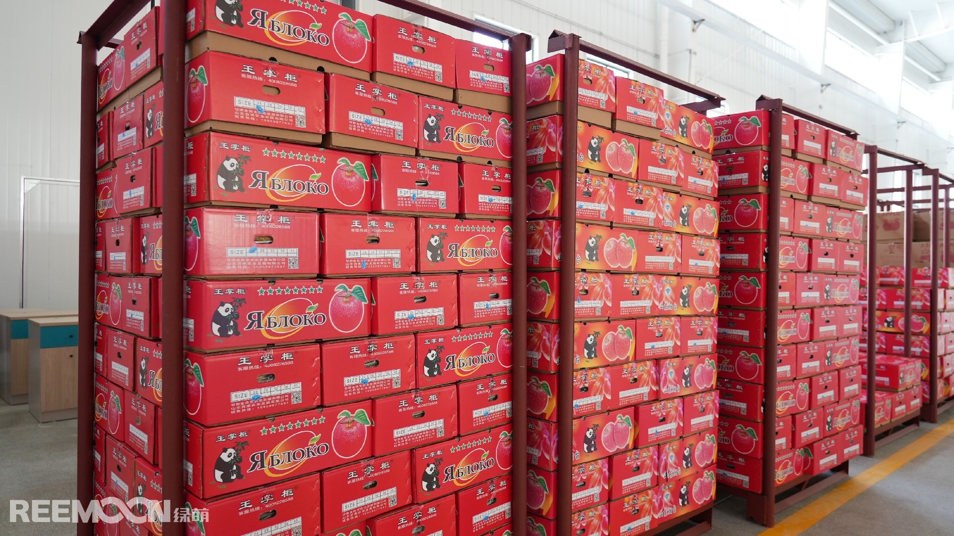 1697594680493950.jpg DSC03051.JPG