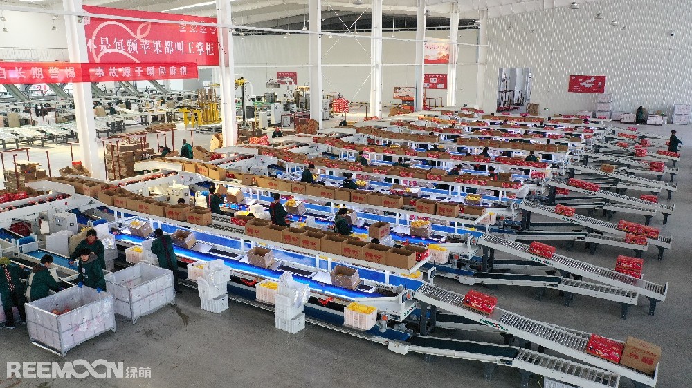 10月16-17日，2023年第二屆新時代蘋果產業大會暨山東王掌柜發城蘋果數字綜合體項目啟動儀式在山東海陽市成功舉辦。來自蘋果產業領域的1000多名專家、學者、業內大咖等出席會議，并以現場報告、視頻、遠程連線、對話專場等形式展現新時代蘋果產業最新發展動態和成功經驗，探討新時代蘋果產業種植、采后技術、市場經營策略。本