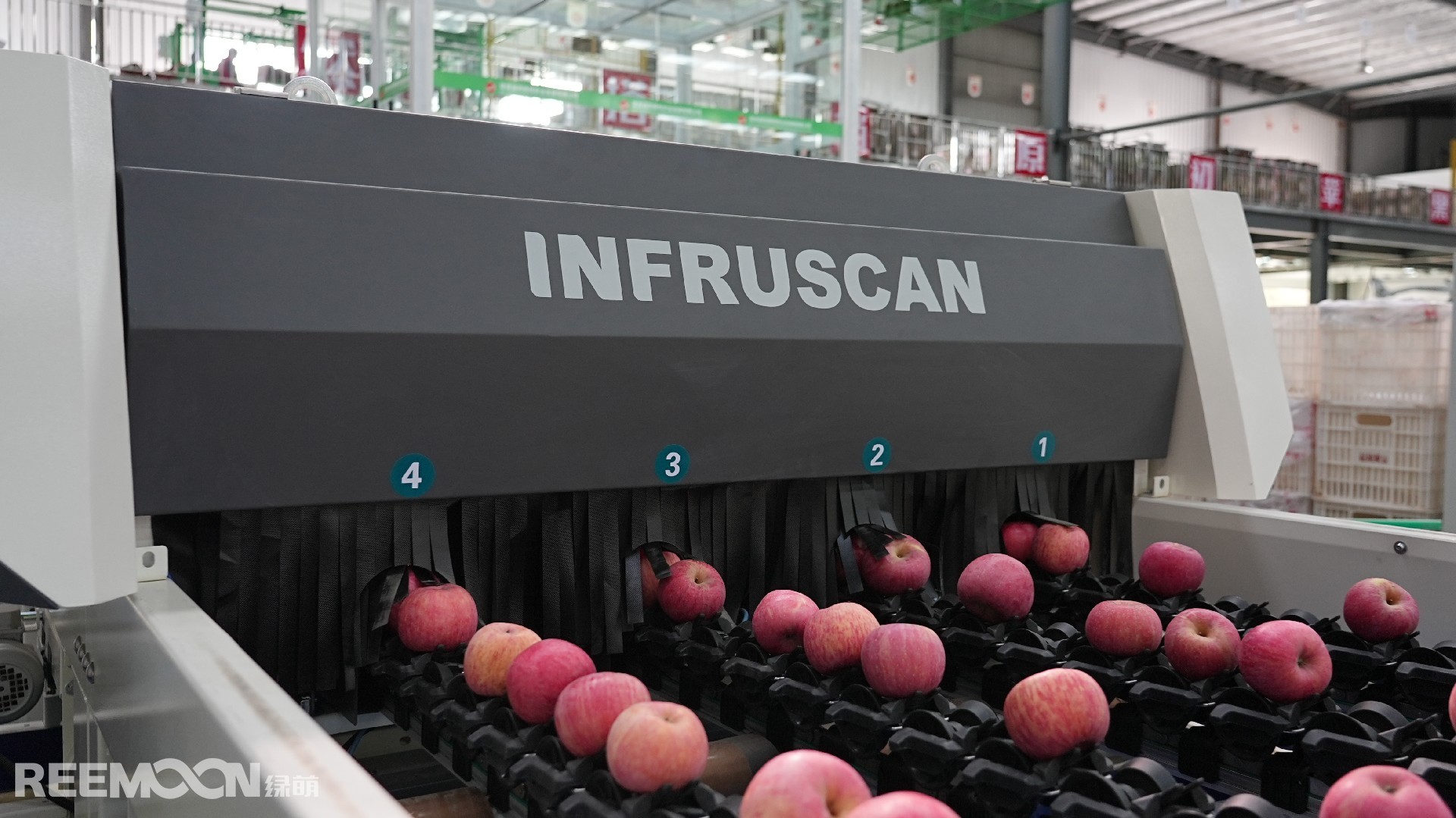 1698984107939458.jpg DSC03512 - 副本.JPG