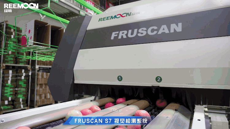 1698984138539793.gif 內部品質檢測 - 副本.gif