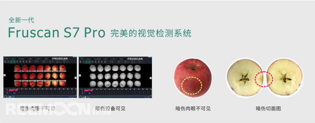 1698984154208279.png 視覺系統 - 副本.png