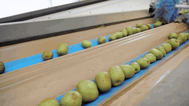 1700122060681651.gif 視覺檢測.gif