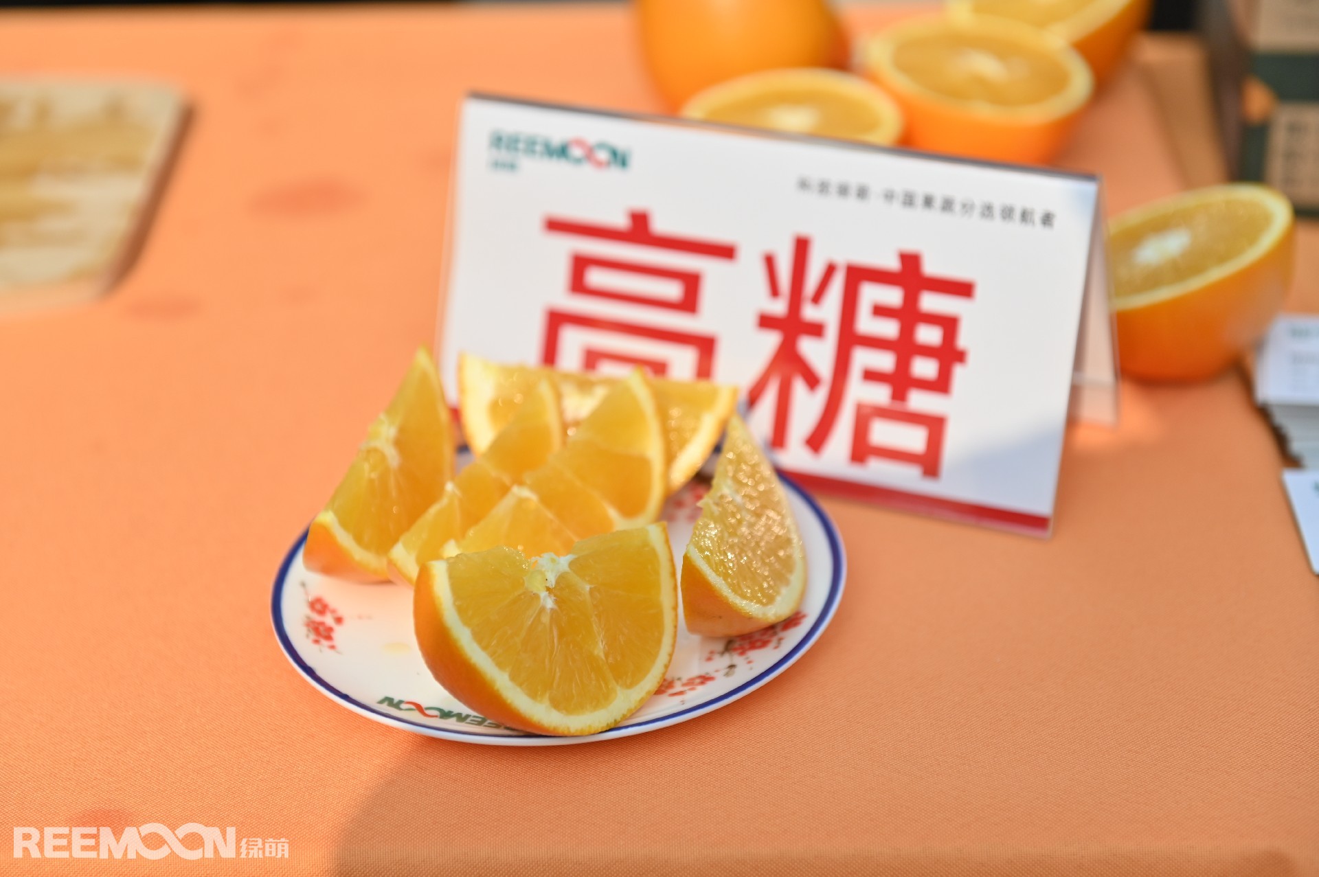 1701079115144764.jpg DSC_8736.JPG