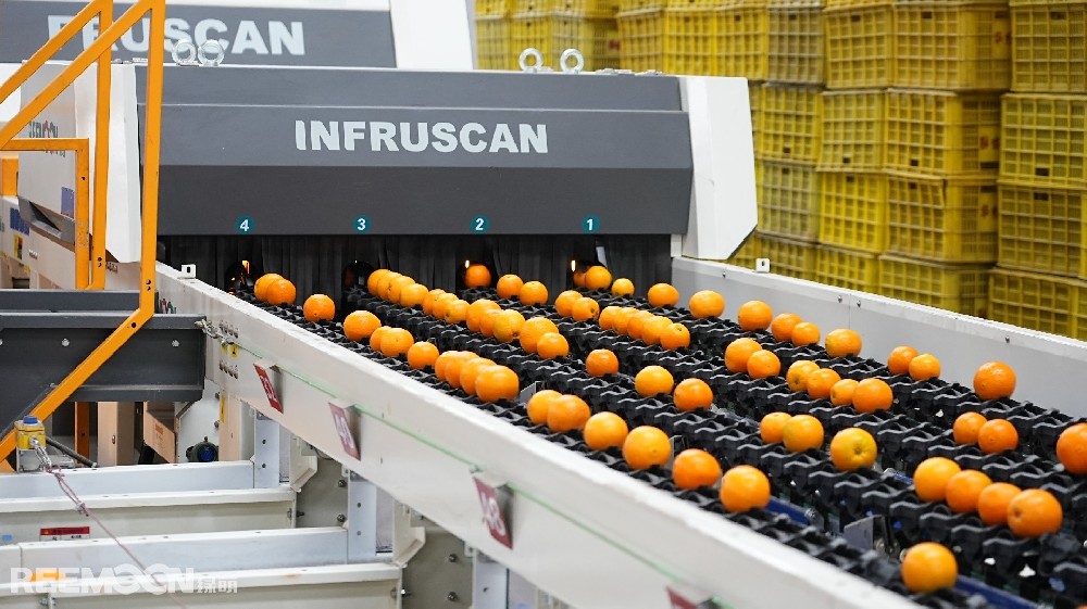 5月9日湖北日報“三農觀察”板塊聚焦“綠萌AI分選，精準檢測秭歸臍橙干水”全文如下↓來源｜湖北日報全媒記者｜劉勝通訊員｜鄭貝貝“今年春節的雨雪冰凍天氣對橙子的品質產生影響，少部分橙子因積雪覆蓋出現‘干水癥’，不好的口感影響了口碑。”5月是倫晚（臍橙的一種）上市季，秭歸縣果農陳光卻愁眉不展，往年這時節采購的