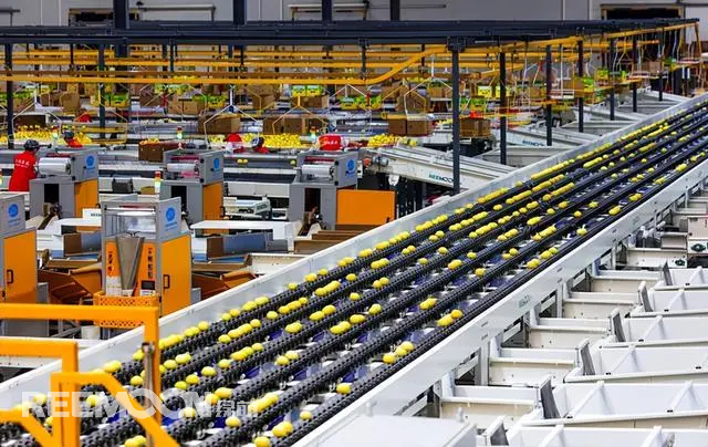 新華社成都12月19日電（記者張海磊、周以航）冬日里，走進(jìn)“中國(guó)檸檬之鄉(xiāng)”四川省資陽市安岳縣，最大的感受是仿佛進(jìn)入“檸檬時(shí)間”。加工車間、包裝廠房?jī)?nèi)，撲鼻的檸檬清香將人包圍，流水線上金黃色的果子滾動(dòng)著，一車車打包好的檸檬從這里啟程，發(fā)往菲律賓、泰國(guó)、越南等30多個(gè)國(guó)家和地區(qū)。四川省維記農(nóng)業(yè)集團(tuán)有限公司車間