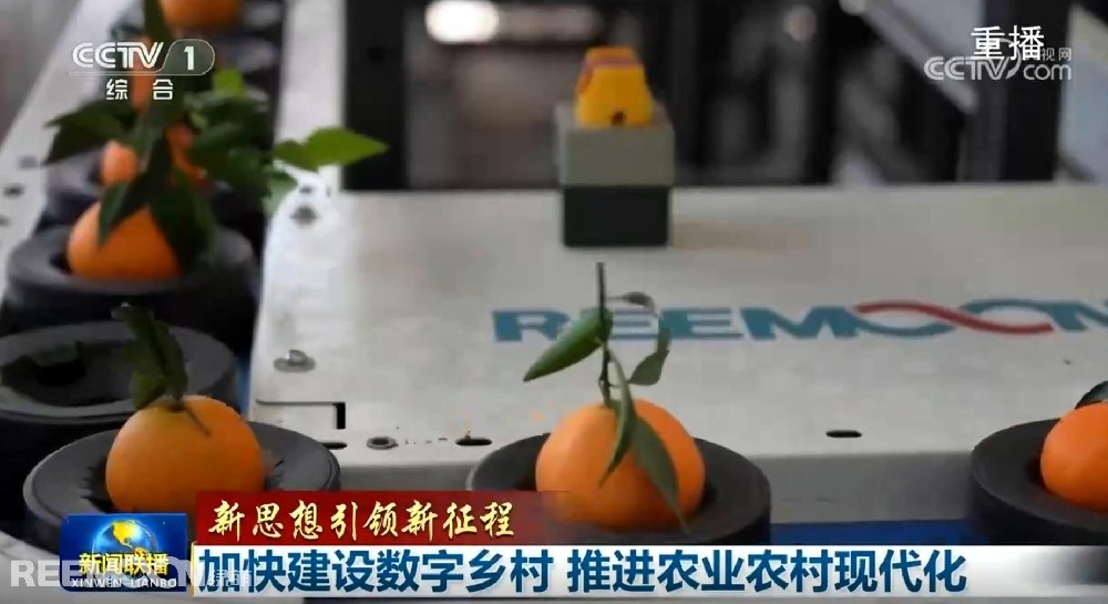 又又又上央視了2025開年見喜綠萌在半月之內(nèi)兩次登上《新聞聯(lián)播》2025年1月1日央視《新聞聯(lián)播》聚焦《甘肅省天水市麥積區(qū)南山花牛蘋果》其中一組畫面中綠萌蘋果雙通道分選線上鏡這條分揀線對(duì)蘋果的大小、色澤、瑕疵、糖度、霉心等指標(biāo)進(jìn)行精準(zhǔn)檢測(cè)分級(jí)助推花牛蘋果做大做強(qiáng)助力果農(nóng)增收致富10