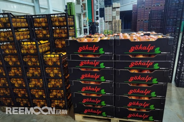 1739936238165457.jpg 1739936135439.jpg