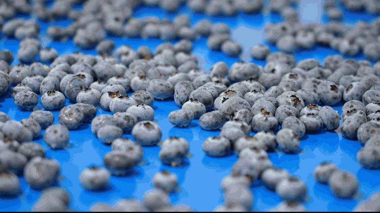 1740127804134097.gif 瑕疵識別.gif