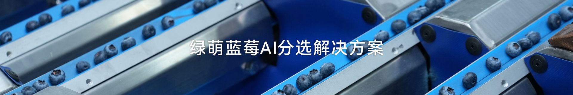 讓您的水果表里如一