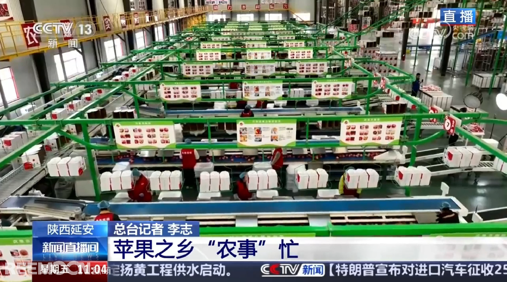 春天是希望的季節(jié)陜西延安是我國蘋果的優(yōu)生區(qū)和主產(chǎn)區(qū)蘋果之鄉(xiāng)正呈現(xiàn)出一片繁忙的景象3月28日，CCTV13新聞頻道聚焦陜西延安蘋果產(chǎn)業(yè)發(fā)展展現(xiàn)中國農(nóng)業(yè)現(xiàn)代化與鄉(xiāng)村振興的生動實(shí)踐PART.01智能分選線：給蘋果做“體檢”，助力果農(nóng)增收致富延安甘泉縣分揀車間內(nèi)綠萌智能分選設(shè)備高效運(yùn)轉(zhuǎn)通過人工智能和圖像處理技術(shù)對傳送帶上的