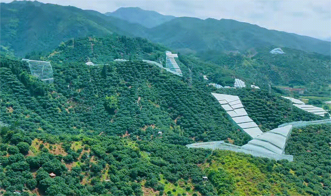 1750843582101426.gif WPS動圖制作 - 副本.gif