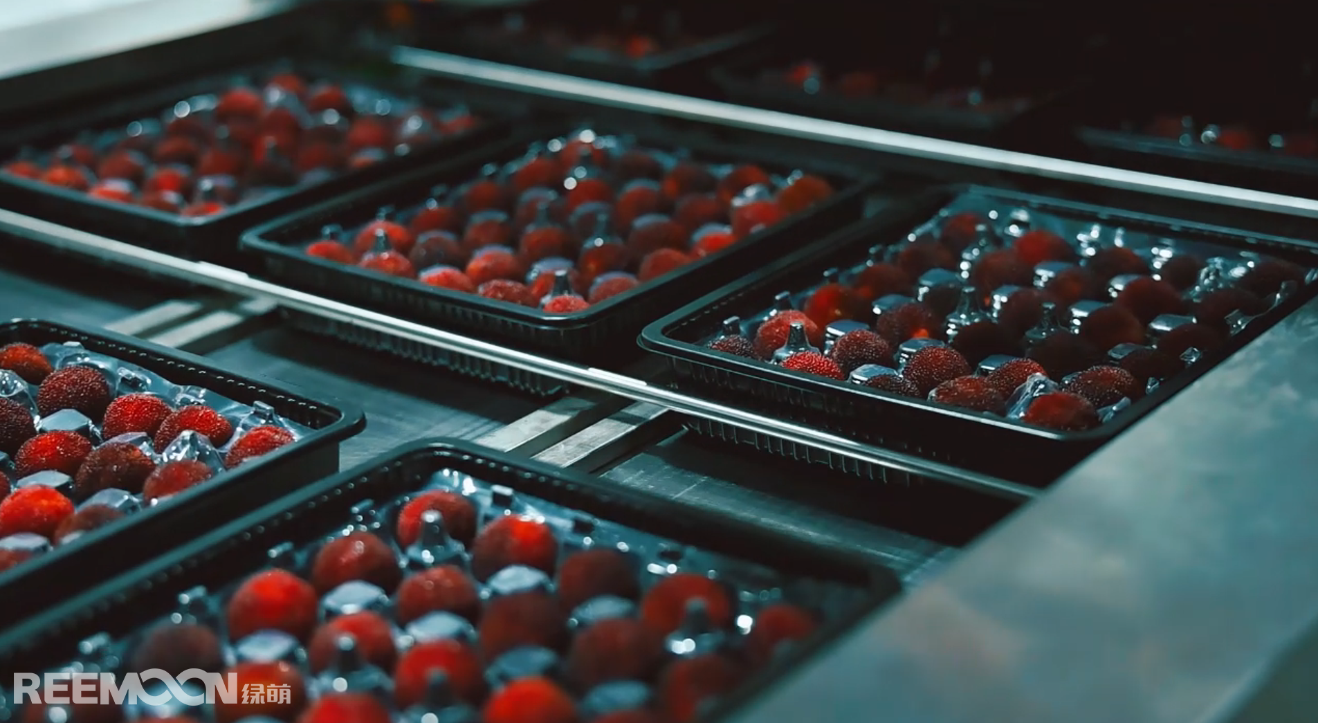 1750844456119148.jpg 1750831765370.jpg