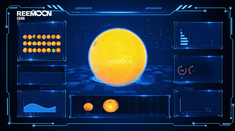 1757293642166153.gif FRUSCAN H10.gif