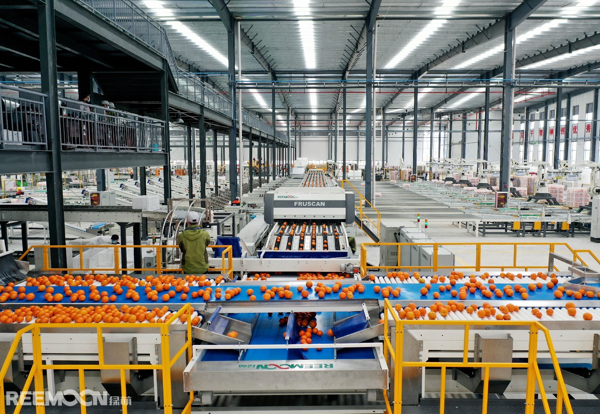 臍橙(1) - 副本 - 副本.jpg