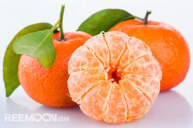 近幾年，砂糖橘逐漸跌落“神壇”，價格急速下滑。產(chǎn)能過剩、集中上市、競爭增大......不少問題圍繞著砂糖橘產(chǎn)業(yè)的發(fā)展。難道真的就要走向末路了嗎？砂糖橘口感清甜似砂糖，入口即化，富含維生素、葡萄糖、胡蘿卜素等多種營養(yǎng)元素，且市場歡迎度高、老少皆宜，擁有廣闊的市場空間。近年來砂糖橘價格一路低走，產(chǎn)業(yè)模式的問題