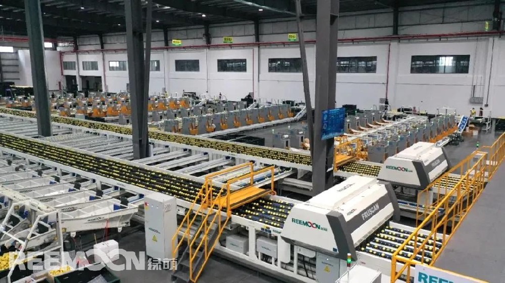 近日，蜜雪冰城湖北宜昌某門店因操作不規(guī)范陷入爭議。對(duì)此，蜜雪冰城回應(yīng)：涉事門店屬違規(guī)操作，總部要求鮮果現(xiàn)切現(xiàn)用、剩余廢棄。網(wǎng)友紛紛表示“這次原諒你，下次不許了”“退至我身后”“小雪用的居然是真檸檬，我更愛了”……在這場爭議中，越來越多網(wǎng)友開始關(guān)注一個(gè)核心問題：蜜雪冰城的檸檬到底是不是真材實(shí)料？雪王究