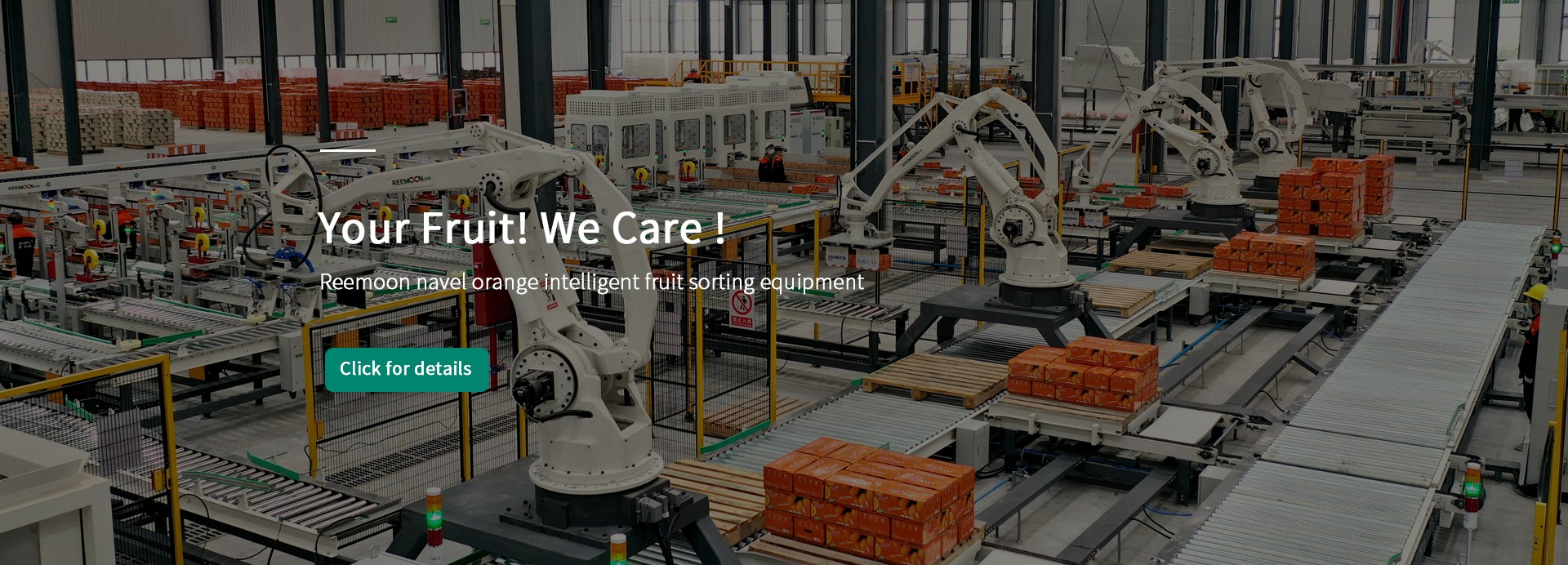 Let your fruit
  Be the same outside and inside