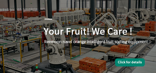 Let your fruit
  Be the same outside and inside